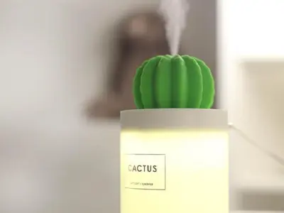 buy alt Aromatizador cactus em Americanas